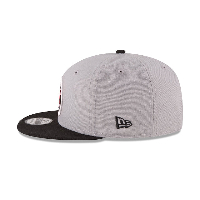 Toronto Raptors Two Tone 9FIFTY Snapback Hat